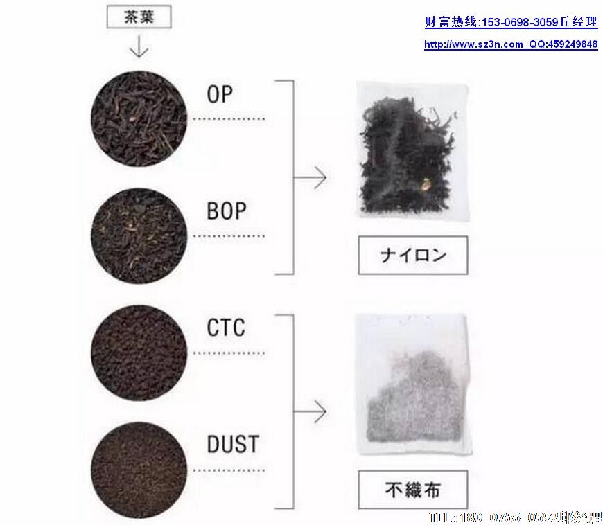 尼龙三角袋茶叶包装机之所以先进是因为其采用新颖的超声波封合技术